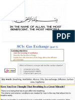 8Cb Gas Exchange (Part 1)