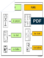 Singulier Pluriel Ce1 Carte Mentale DYS