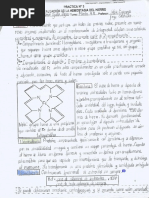 Guía Práctica #3 Evaluación de La Hemostasia Del Fe (DESARROLLADA)