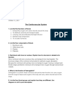 The Cardiovascular System Assignment