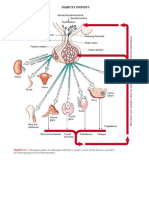 Diabetes INSIPIDUS