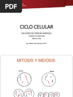 Clase 5. Ciclo Celular