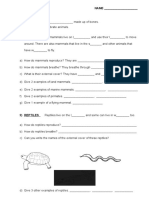 Vertebrates Worksheet