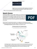 Marek's Disease in Chickens