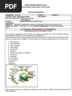 Guia Organizacion de Los Seres Vivos