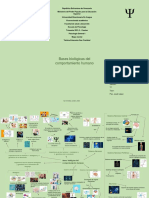 Mapa Mental Psicologia III