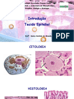 Aula 0 - Histologia Introdução - Tecido Epitelial Novo