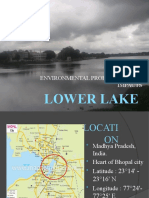 Lower Lake: Environmental Problem and Its Impacts