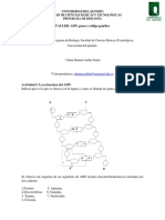 Taller de ADN N°1