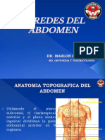 Paredes Del Abdomen 2021 1