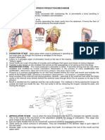 Speech Production Mechanism