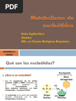 Metabolismo de Nucleótidos