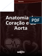 Anatomia Do Coração