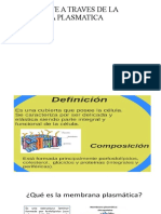 Transporte A Traves de La Membrana Plasmatica