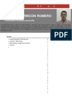 Cv-Robinson Rincon Romero