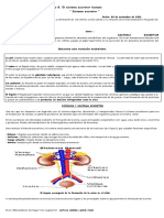 Guía 8. La Excreción en El Ser Humano