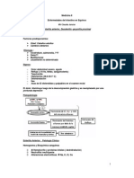 Med 2-Enfermedades Del Intestino en Equinos