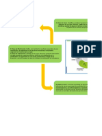 Mapa Conceptual 14 - Fases de Proyectos, Gestión Integrada de Recursos Hídricos, Huella Hidraulica