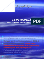 Leptospira: Prof. Khalifa Sifaw Ghenghesh