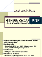 ميحرلا نمحرلا الله مسب Genus: Chlamydia: Prof. Khalifa Sifawghenghesh