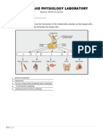 Lee Endocrine System