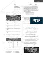 Diagnóstica: Evaluación