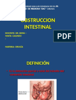 Obstruccion Intestinal DR Kong