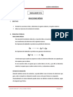 G31T - Simulador N°1 - Guia Reacciones Redox