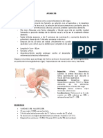 APENDICITIS