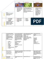 Clasificacion de Microorganismos