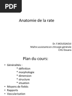 Anatomie de La Rate