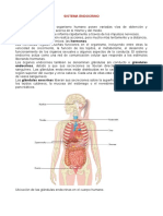 Clase 8 Sistema Endocrino