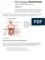 Actividad de Revision Semanal A y F Semana 3