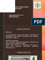 Tarea Carbohidratos, Lipidos y Acidos Nucleicos 4 Oct