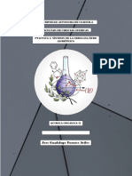 Practica 3. Síntesis de La Nerolina Éter Asimétrico 2.0