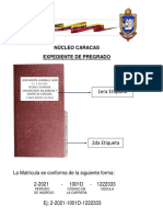 Ejemplo de Expediente y Códigos de Carreras