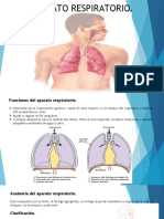 Aparato Respiratorio