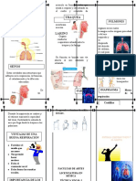 Plegable Sistema Respiratorio