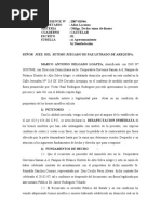 PDF Documento