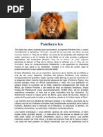 PDF Documento