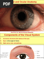 Ass - Prof. Dr. Saif Ali Ahmed Ghabisha