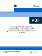 Pautas para La I, FyES de PIP, Perfil