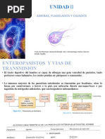 5 - Amebas, Flagelados y Ciliados