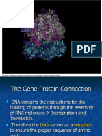 Translation PPT Aminoacids