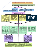 Mapa Conceptual