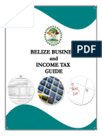 Business Income Tax Guide Final