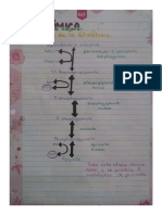 Esquema de Las Vías de Degradación de Los Carbohidratos