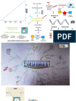 Mapa Mental Educacion Prohibida