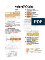 Documento Sem Título