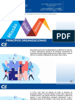 SA - 45. PRINCÍPIOS ORGANIZACIONAIS PPT - v01